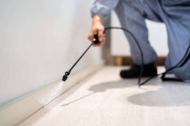 Licensed Termite Control service in Greenbelt, MD - Nex Pest Control