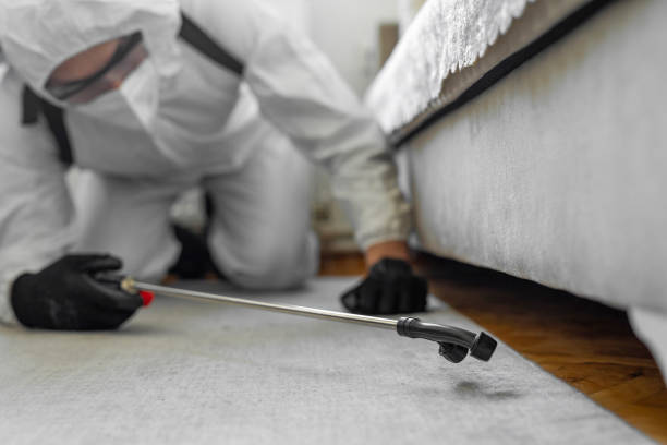 Professional Termite Control technician working in Greenbelt, MD