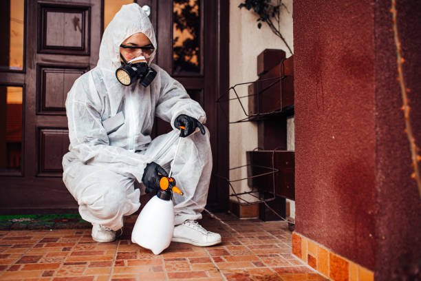 Reliable Termite Control contractor in Greenbelt, MD by Nex Pest Control