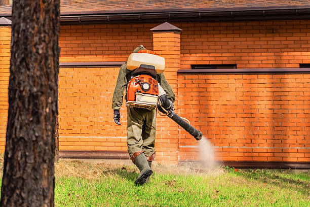 Trusted Cockroach Control service in Greenbelt, MD - Nex Pest Control